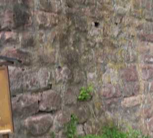 Burgruine Sterneck