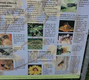 Naturinfopfad Weggental