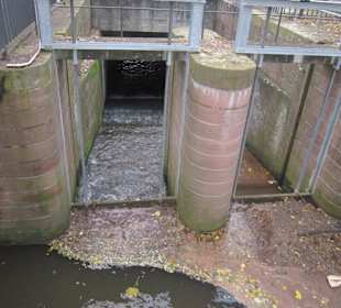 Viel Schmutz gesammelt