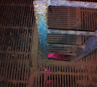 Schlossberghöhlen in Homburg