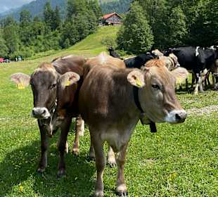 Wandern Oberstaufen