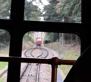 Wandern Königsstuhl