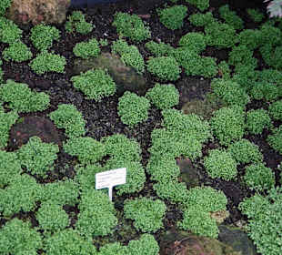 Anlage Planten un Blomen