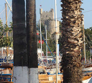 Zamek od strony ulicy