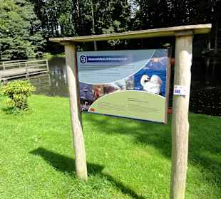 Infoschild am Teich