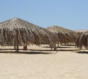 Dziewicza plaża "Paradise" na Wyspie Giftun