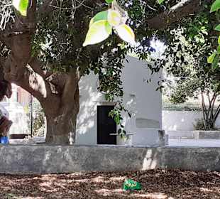 Auf Stadtrundgang durch Kos