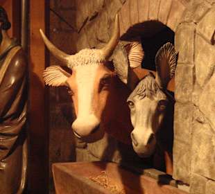 Die Weihnachtskrippe