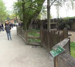 Südamerikabereich - Großer Mara