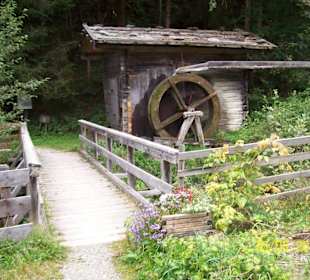 Auf dem Holzweg in Auffach