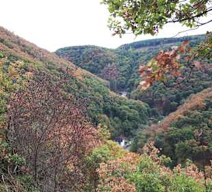 Wandern Traben-Trarbach
