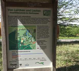 Wanderweg Hochgehwachsen
