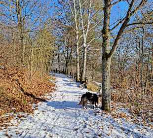 Wandern Bad Mergentheim