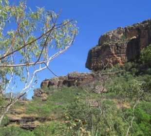 Namanjolg's Feather - Daberrg