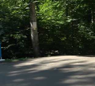 Wanderparkplatz Nebelhöhle