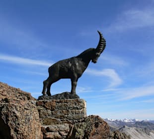 Der Steinbock von Piz Nair