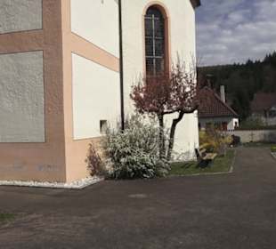 Kirche St. Gallus