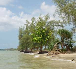 So siehts es aus am Otres