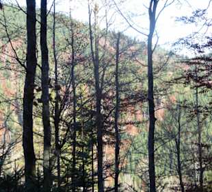 Wanderweg Bad Wiesseer Höhenstraße