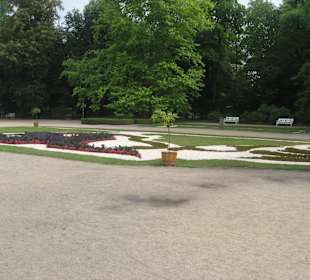 Park przy Pałacu w Nieborowie