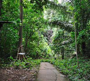 Tiger Cave Tempel (Wat Tham Sua)