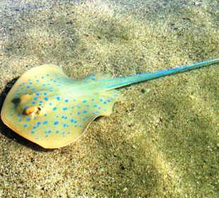 Mit dem iPhone fotografiert