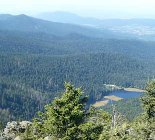 Blick zum Arbersee