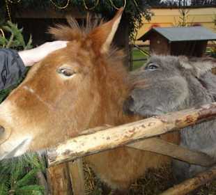 Hellbrunner Kinderweihnachtswelt