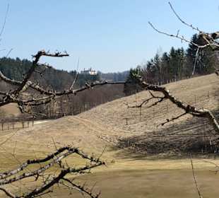 Blick zum Schloß Freiberg