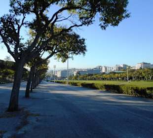 Eduardo VII Park