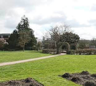 Spaziergang im Botanischen Garten von Karlsruhe