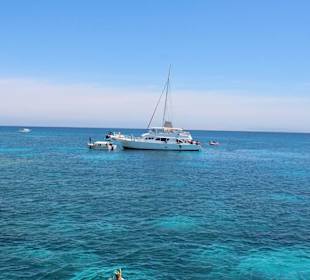 Delfin Tour Hurghada-Morgenland-Delfinschwimmen 