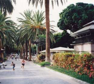 Der Plaza del Charco in Puerto de la Cruz