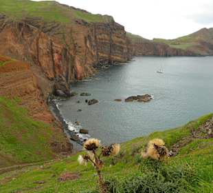 Auch im November gibt es Blumen