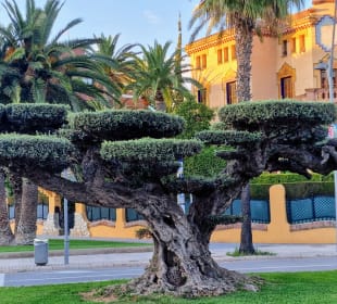 Uferpromenade Passeig de Jaumes I Salou
