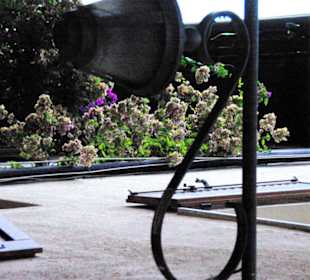 Meine Laternen wie immer