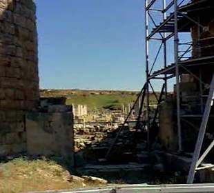 Круглая башня в лесах