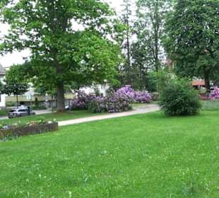 Park Courbevoie