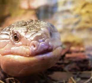 ZOO Jihlava