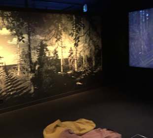 Naturparkzentrum Ruhestein