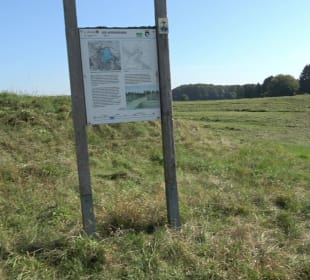 Elsachstadt Tor F Burrenhof Erkenbrechtsweiler