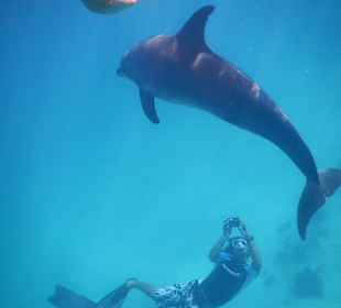 Guide Omar bei der " Arbeit"