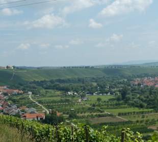 Blick auf Nordheim, Main, Escherndorf, Vogelsburg