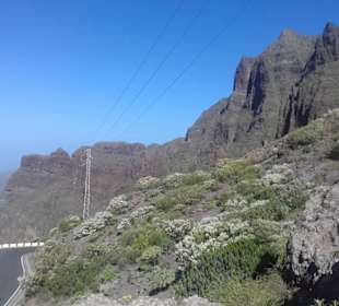 Masca Schlucht in Masca