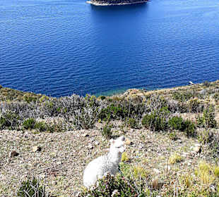 Wanderung Isla del Sol