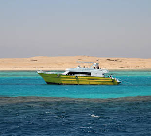 Paradise - wycieczka