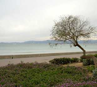 Strandpromenade El Arenal