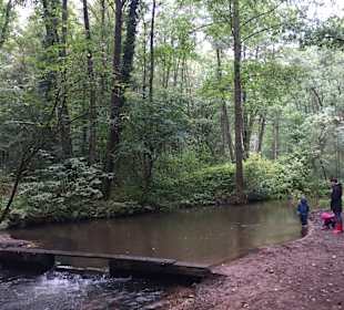 Meißendorfer Teiche/Bannetzer Moor
