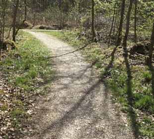Waldsportpfad im Wasenwald