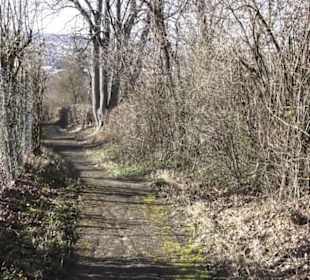Scheibengipfel